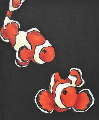 Clown Fish